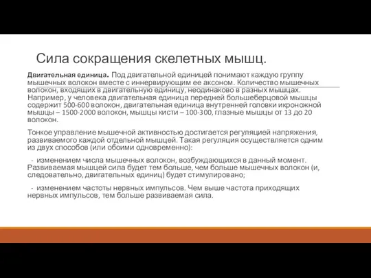 Сила сокращения скелетных мышц. Двигательная единица. Под двигательной единицей понимают каждую