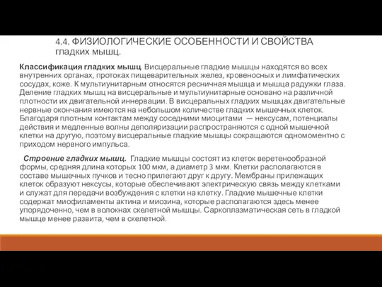 4.4. ФИЗИОЛОГИЧЕСКИЕ ОСОБЕННОСТИ И СВОЙСТВА гладких мышц. Классификация гладких мышц. Висцеральные