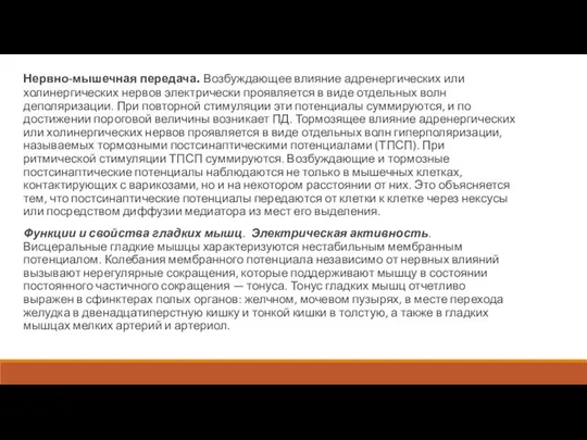 Нервно-мышечная передача. Возбуждающее влияние адренергических или холинергических нервов электрически проявляется в