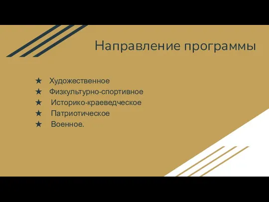 Направление программы Художественное Физкультурно-спортивное Историко-краеведческое Патриотическое Военное.