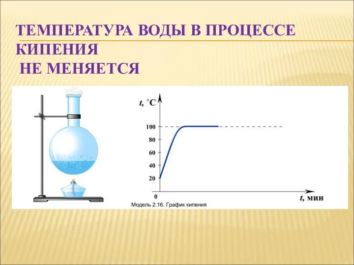 ТЕМПЕРАТУРА ВОДЫ В ПРОЦЕССЕ КИПЕНИЯ НЕ МЕНЯЕТСЯ