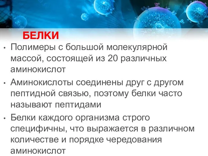 БЕЛКИ Полимеры с большой молекулярной массой, состоящей из 20 различных аминокислот