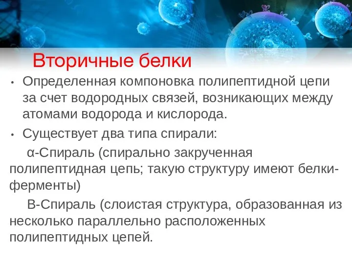 Вторичные белки Определенная компоновка полипептидной цепи за счет водородных связей, возникающих