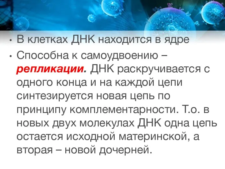 В клетках ДНК находится в ядре Способна к самоудвоению – репликации.