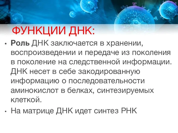 ФУНКЦИИ ДНК: Роль ДНК заключается в хранении, воспроизведении и передаче из