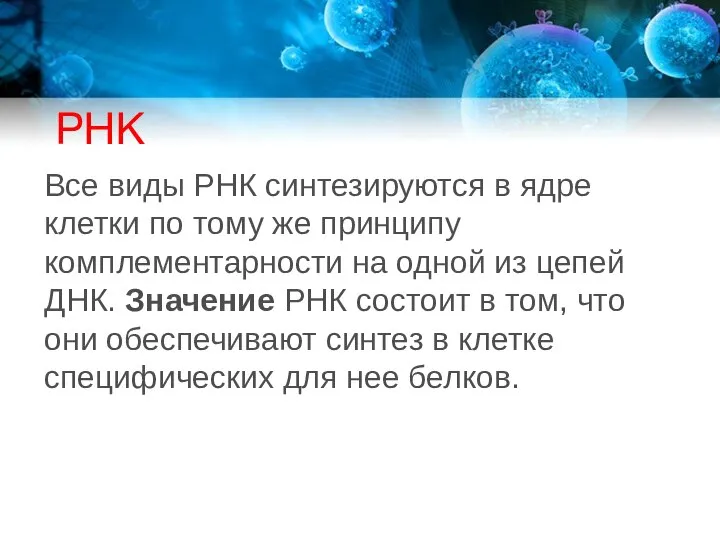 РНК Все виды РНК синтезируются в ядре клетки по тому же