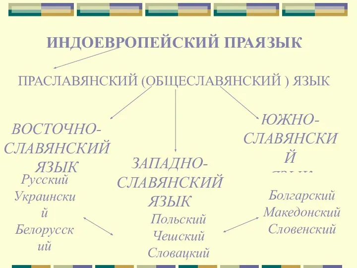 ИНДОЕВРОПЕЙСКИЙ ПРАЯЗЫК ПРАСЛАВЯНСКИЙ (ОБЩЕСЛАВЯНСКИЙ ) ЯЗЫК ВОСТОЧНО- СЛАВЯНСКИЙ ЯЗЫК ЗАПАДНО- СЛАВЯНСКИЙ