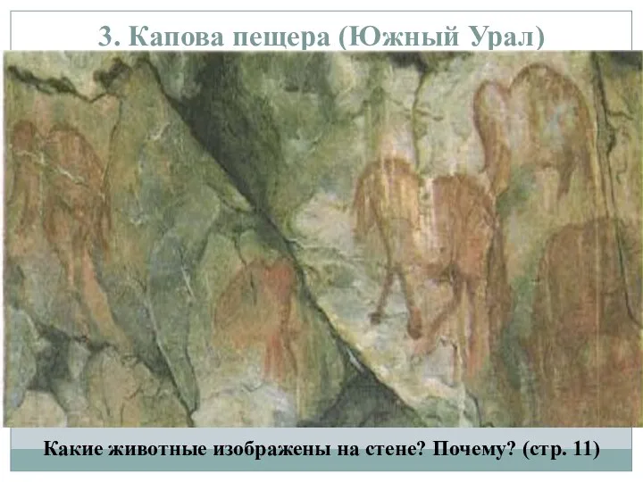 3. Капова пещера (Южный Урал) Какие животные изображены на стене? Почему? (стр. 11)