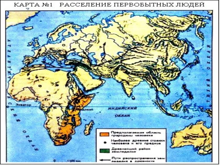 Вспомним Когда и на какой территории, по мнению ученых, появились первые люди?