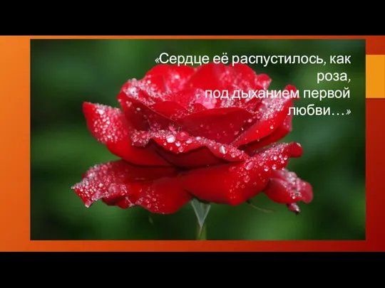 «Сердце её распустилось, как роза, под дыханием первой любви…»