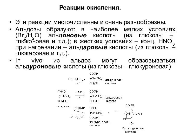 Реакции окисления. Эти реакции многочисленны и очень разнообразны. Альдозы образуют: в