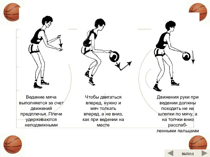 Ведение мяча выполняется за счет движений предплечья. Плечи удерживаются неподвижными Движения