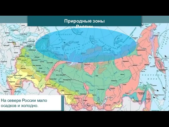 Природные зоны России На севере России мало осадков и холодно.
