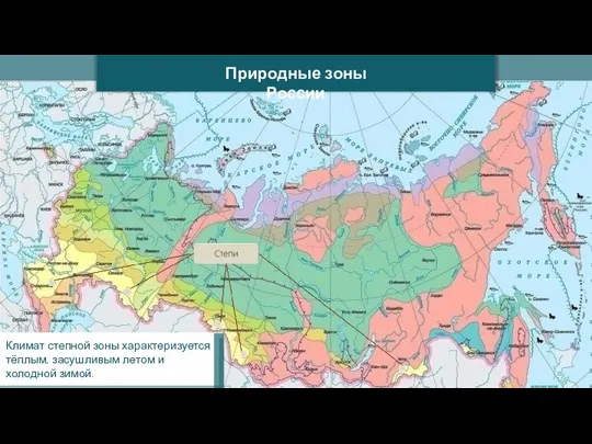 Природные зоны России Климат степной зоны характеризуется тёплым, засушливым летом и холодной зимой.