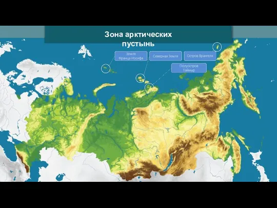 Зона арктических пустынь