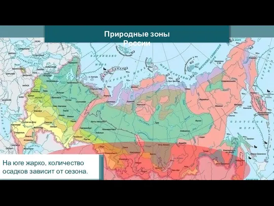 Природные зоны России На юге жарко, количество осадков зависит от сезона.