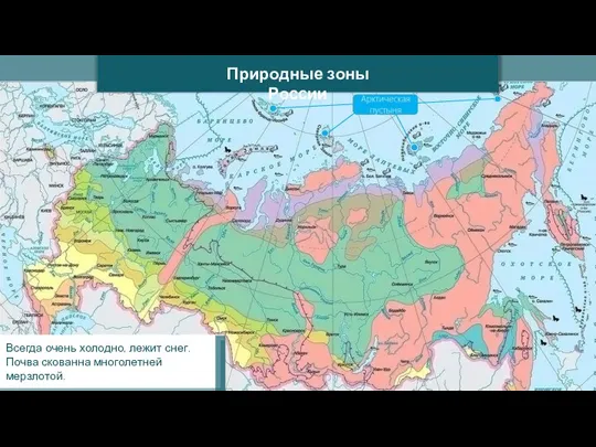 Природные зоны России Всегда очень холодно, лежит снег. Почва скованна многолетней мерзлотой.