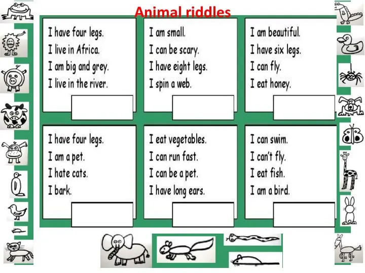 Animal riddles