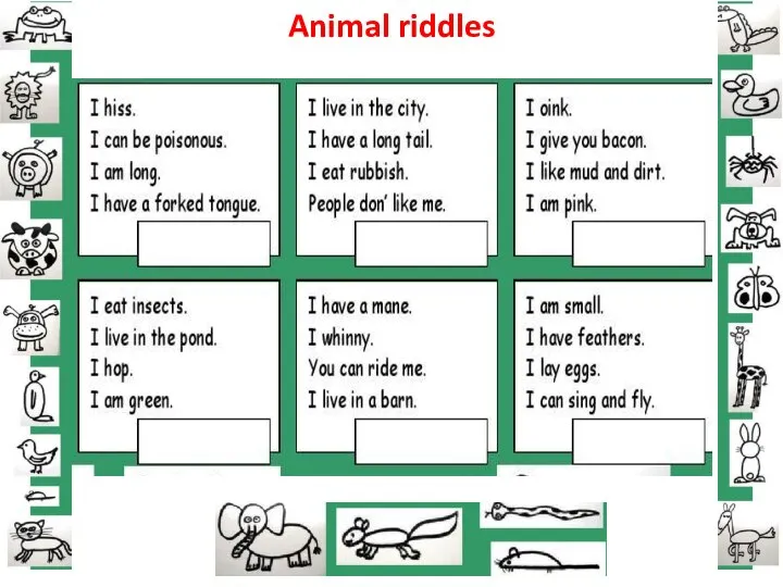 Animal riddles