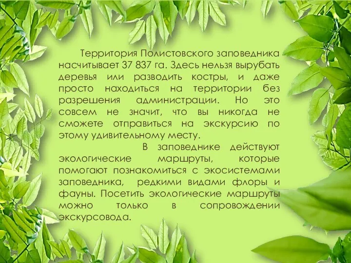 Территория Полистовского заповедника насчитывает 37 837 га. Здесь нельзя вырубать деревья