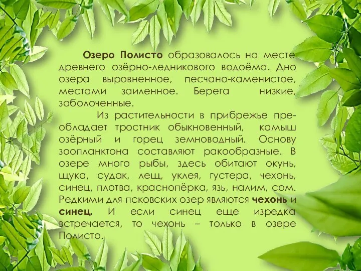 Озеро Полисто образовалось на месте древнего озёрно-ледникового водоёма. Дно озера выровненное,