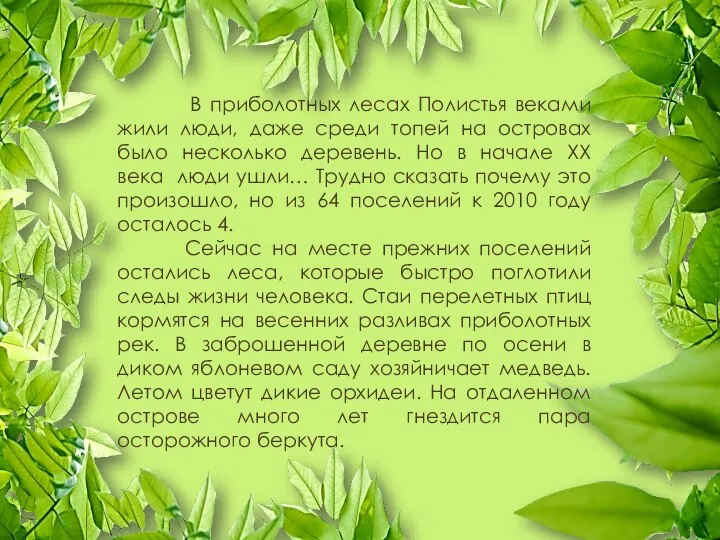 В приболотных лесах Полистья веками жили люди, даже среди топей на