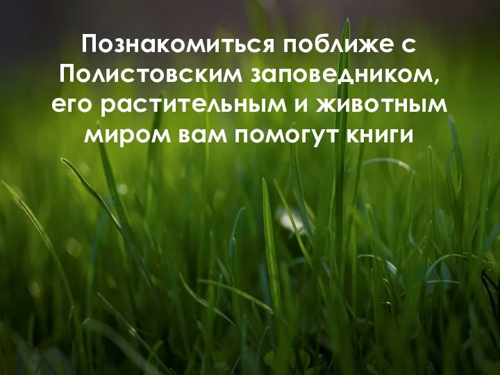 Познакомиться поближе с Полистовским заповедником, его растительным и животным миром вам помогут книги