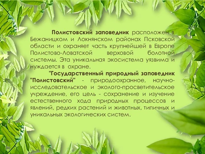 Полистовский заповедник расположен в Бежаницком и Локнянском районах Псковской области и