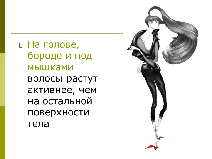 На голове, бороде и под мышками волосы растут активнее, чем на остальной поверхности тела