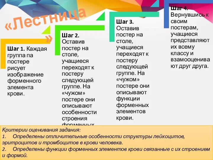 «Лестница» Критерии оценивания задания: 1. Определены отличительные особенности структуры лейкоцитов, эритроцитов