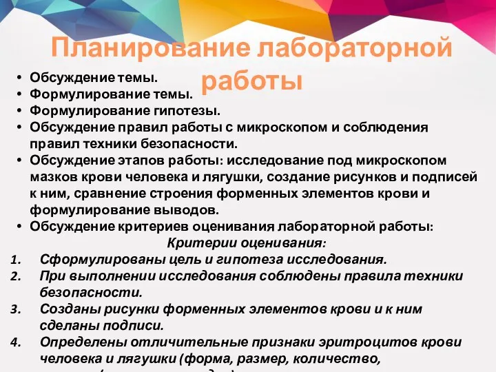 Планирование лабораторной работы Обсуждение темы. Формулирование темы. Формулирование гипотезы. Обсуждение правил