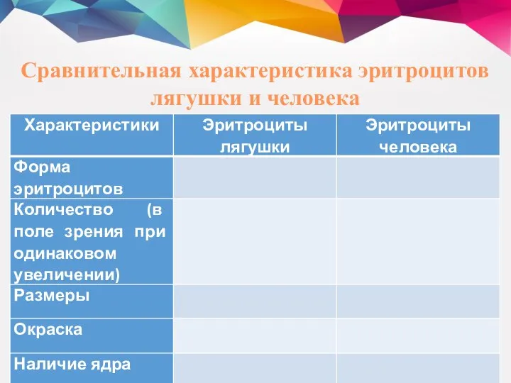 Сравнительная характеристика эритроцитов лягушки и человека