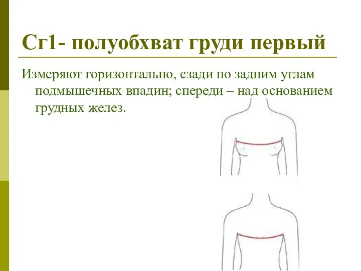 Сг1- полуобхват груди первый Измеряют горизонтально, сзади по задним углам подмышечных