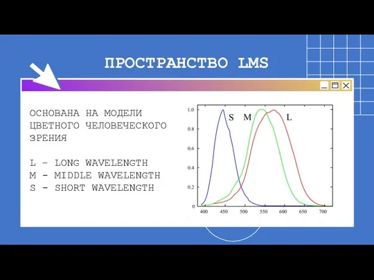 ПРОСТРАНСТВО LMS ОСНОВАНА НА МОДЕЛИ ЦВЕТНОГО ЧЕЛОВЕЧЕСКОГО ЗРЕНИЯ L – LONG