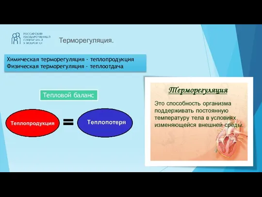 Терморегуляция. Химическая терморегуляция - теплопродукция Физическая терморегуляция - теплоотдача Тепловой баланс