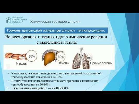 Химическая терморегуляция. Гормоны щитовидной железы регулируют теплопродукцию. Во всех органах и