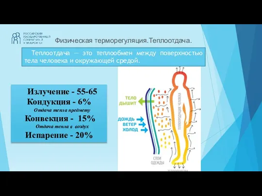 Физическая терморегуляция.Теплоотдача. Излучение - 55-65 Кондукция - 6% Отдача тепла предмету