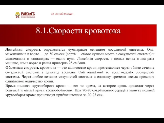 8.1.Скорости кровотока ЗАПАДНЫЙ ФИЛИАЛ Линейная скорость определяется суммарным сечением сосудистой системы.