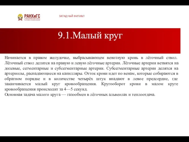 9.1.Малый круг ЗАПАДНЫЙ ФИЛИАЛ Начинается в правом желудочке, выбрасывающем венозную кровь