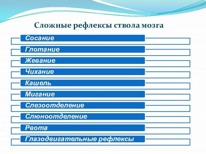 Сложные рефлексы ствола мозга