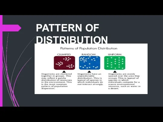 PATTERN OF DISTRIBUTION