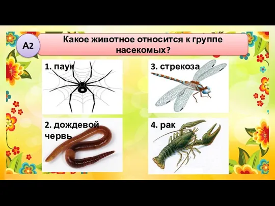 Какое животное относится к группе насекомых? А2