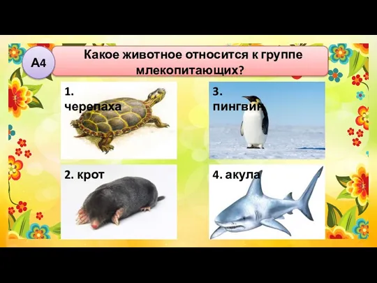 Какое животное относится к группе млекопитающих? А4
