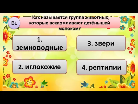 1. земноводные Как называется группа животных, которые вскармливают детёнышей молоком? В1