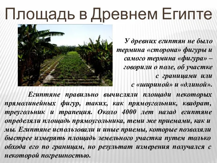 Площадь в Древнем Египте У древних египтян не было термина «сторона»