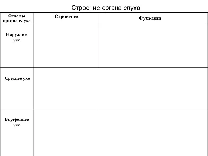 Строение органа слуха Внутреннее ухо Среднее ухо Наружное ухо Функции Строение Отделы органа слуха