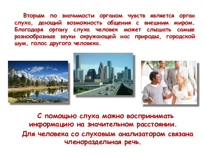 Вторым по значимости органом чувств является орган слуха, дающий возможность общения