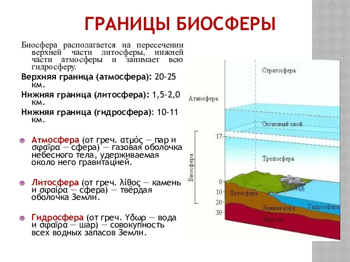 ГРАНИЦЫ БИОСФЕРЫ Биосфера располагается на пересечении верхней части литосферы, нижней части