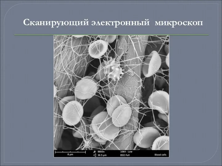 Сканирующий электронный микроскоп