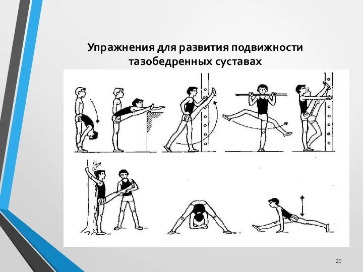 Упражнения для развития подвижности тазобедренных суставах